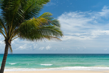 Fototapeta na wymiar Landscape palm tree on the beach sunrise tourism in holiday of tropical island on summer.