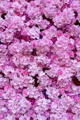 Obraz premium Beautiful Fake Pink Flower Background