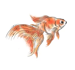 Fotobehang goldfish isolated on white background © Helga