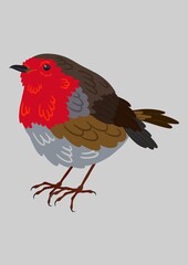 Erithacus rubecula
