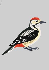 Woodpecker 