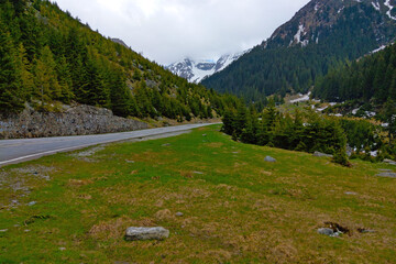 Picturesque mountain road on a spring or summer day.