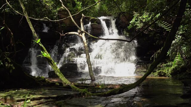 A beautiful large waterfall in a tropical evergreen forest. rich forest northern thailand