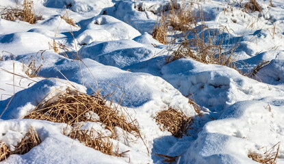 Snow drifts and last year's dry grass