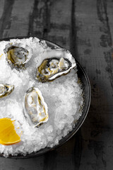 Fresh raw oysters with ice and lemon on dark rustic background