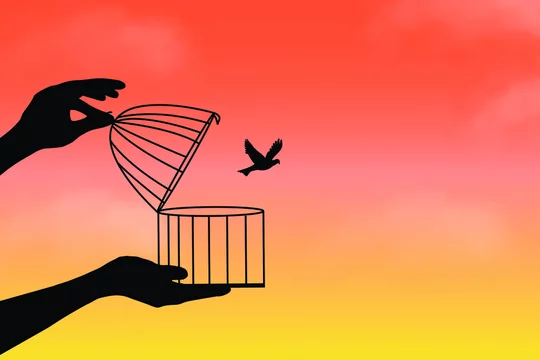 Liberation symbol. Birds flying out of cage, freedom concept, bird 