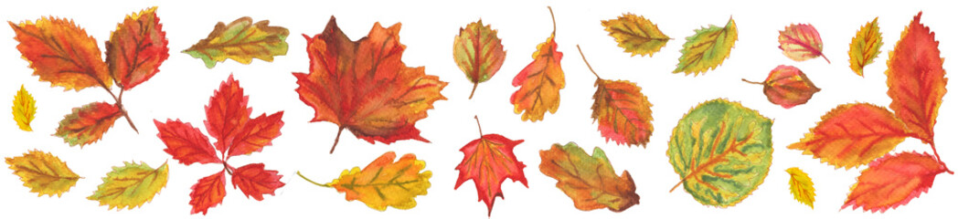 Horizontal border made of beautiful autumn leaves. watercolor illustration of maple, elm, poplar, linden, oak leaves