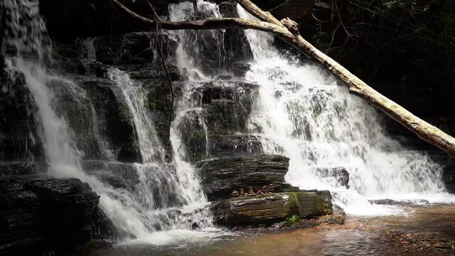 A beautiful large waterfall in a tropical evergreen forest. rich forest northern thailand
