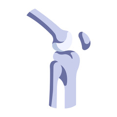 knee bone icon