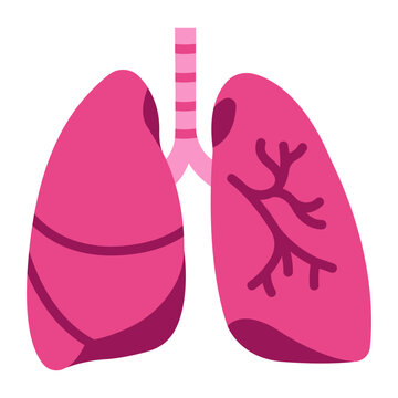 lung icon