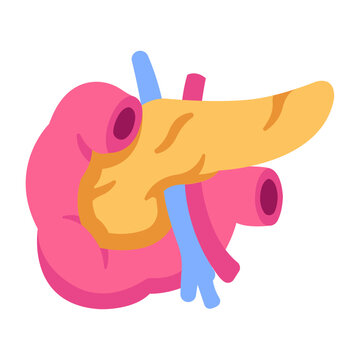 pancreas icon