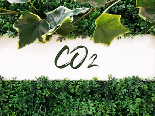 White wooden sign with green leaves and 