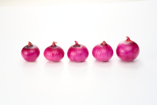 469 Best レッドオニオン Images Stock Photos Vectors Adobe Stock