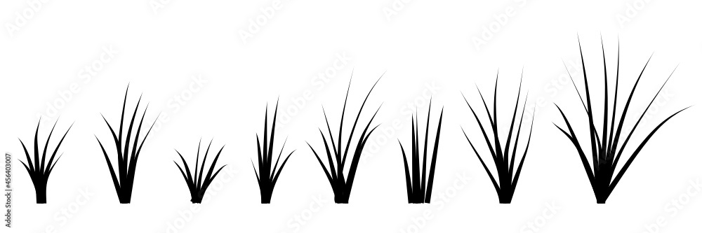 Wall mural grass silhouettes svg vector illustration. each blade of grass in a bunch is isolated