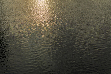 Golden abstract structure of the river surface at sunset.