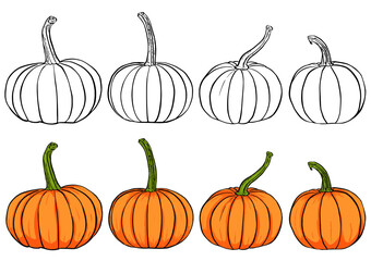 Collection of Pumpkins, Outlined and color, Halloween Thanksgiving Pumpkins