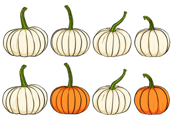 White and Orange Pumpkins, Halloween, Thanksgiving