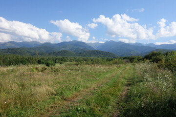 Fototapeta na wymiar Part of Fagaras Mountains range viewed from their north in Transylvania in Romania and treaded path over grassland with wild flowers, bushes and trees