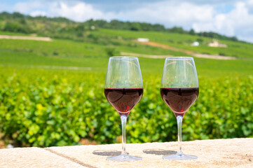 Tasting of burgundy red wine from grand cru pinot noir  vineyards, two glasses of wine and view on green vineyards in Burgundy Cote de Nuits wine region, France
