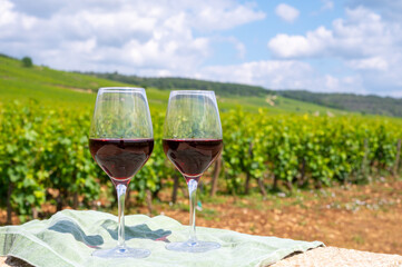 Tasting of burgundy red wine from grand cru pinot noir  vineyards, two glasses of wine and view on...