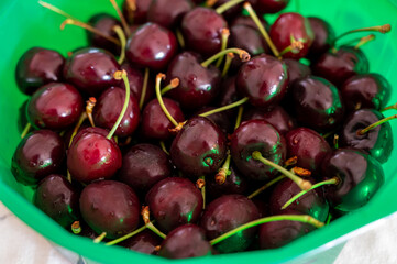 New harvest of fresh ripe dark red cherry berry in Provence, France