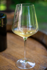 Tasting of dry burgundy white wine made from chardonnay grapes, wine tourisme to Burgundy Cote de Beaune wine region, France