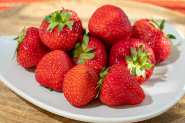 New harvest of fresh ripe red strawberry in Provence, France