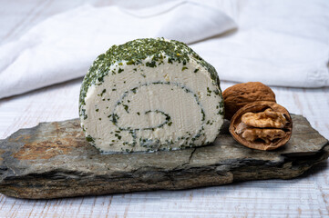 Cheese collection, fresh white soft goat French cheese roll with aromatic herbs and chives