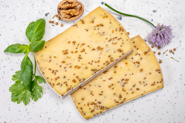 Cheese collection, matured cow cheese with mustard seeds from Belgium