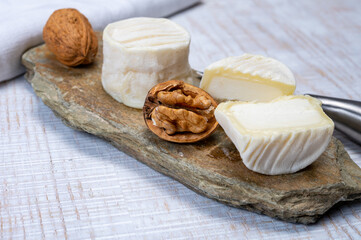 Cheese collection, soft goat French cheese with mold crottin de Chavignol produced in Loire Valley