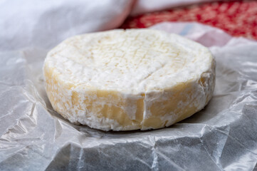 Cheese collection, fresh white soft cow cheese with mold from Swiss