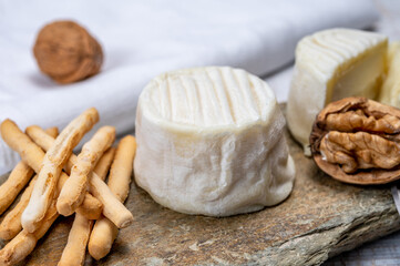 Cheese collection, soft goat French cheese with mold crottin de Chavignol produced in Loire Valley
