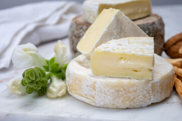 Cheese collection, fresh white soft cow cheese with mold from Swiss and tommette de savoie from France, cheese made in Alpine mountains