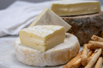 Cheese collection, fresh white soft cow cheese with mold from Swiss and tommette de savoie from France, cheese made in Alpine mountains