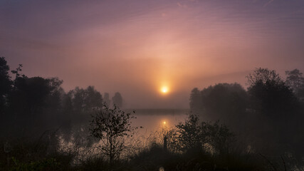 Pietzmoor im Nebel