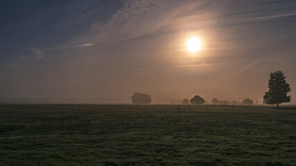 Naklejka premium Pietzmoor im Nebel