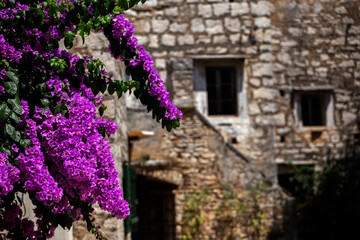 Fototapeta na wymiar Old Dalmatian architecture, Solta island - Croatia