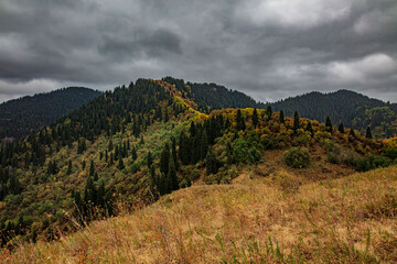 landscape in the morning