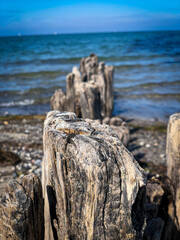 Fototapeta premium Alte Holzpfähle am Strand direkt ins blaue Meer übergehend