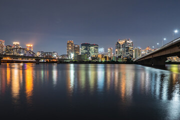 Fototapeta na wymiar 淀川河川公園から見た大阪市の夜景