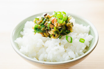 ご飯に乗せただし