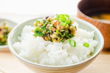 ご飯に乗せただし