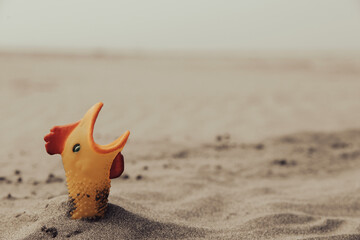 A funny rubber chicken buried in the sand at ocean beach