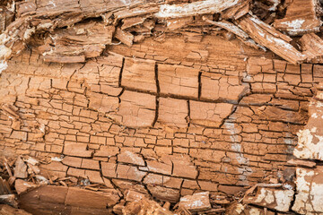 superfice in legno invecchiato per sfondi 