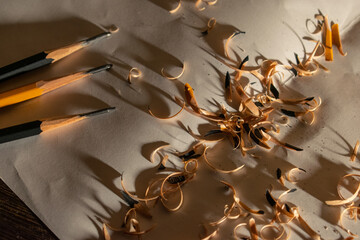 Wooden pencils with sharpening, shavings on white paper, close up