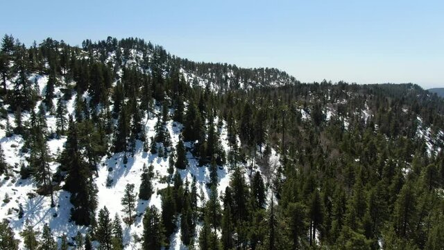 Snow Covered Winter Forest Aerial Shot San Bernardino Mountains L California USA