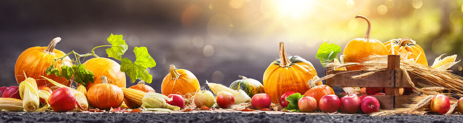 Happy Thanksgiving Day Background. Autumn Harvest