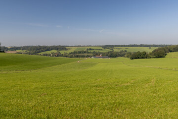 Southern Limburg landscape with green fields and flowing hills
