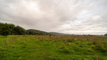 Obraz premium Ingendael nature reserve near Valkenburg, The Netherlands