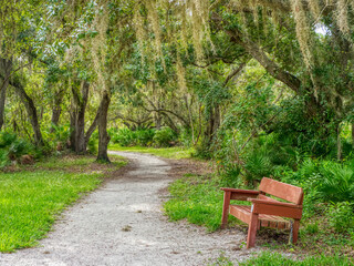 Bench on walking trail in Lemon Bay Park and Environmental Center in Englewood on the Gulf Coast of Florida USA
